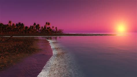 water, Beach, Palm trees, Sunlight, Evening Wallpapers HD / Desktop and ...