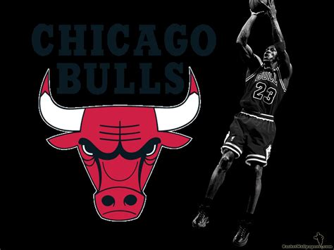 Amazing | Michael jordan chicago bulls, Jordan bulls, Chicago bulls