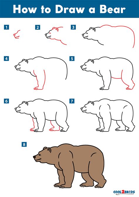 How To Draw A Bear Kids | Images and Photos finder