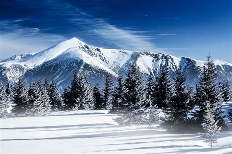 Skiing in the Vienna Alps - Skiing and snowboarding