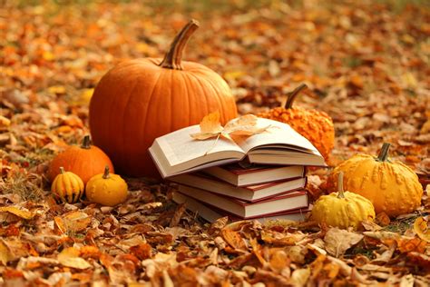 Download Pumpkin Book Leaf Fall Photography Still Life 4k Ultra HD ...