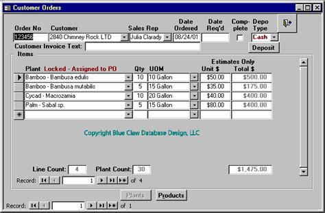 Microsoft Access Form Design Guide - User Interface Design Examples