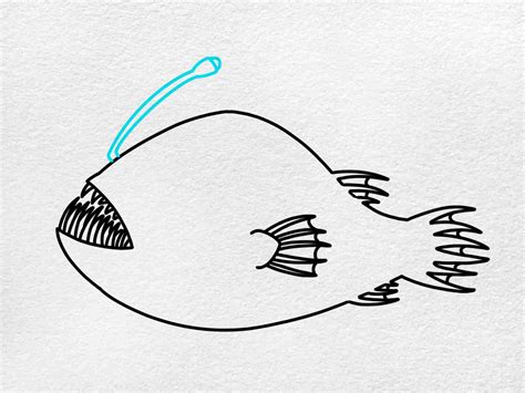 Angler Fish Drawing - Willis Arsencon