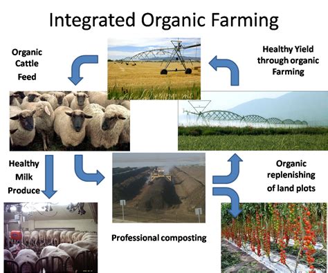 Agricultural Programme – IPPSN