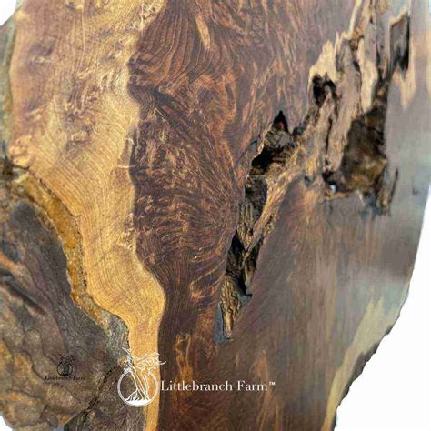 Redwood Burl wall art - Rustic Log Originals