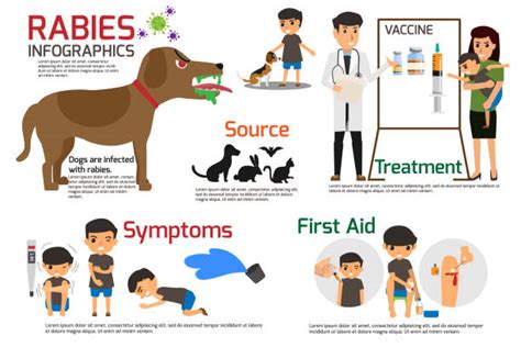 Rabies Dogs Illustrations, Royalty-Free Vector Graphics & Clip Art - iStock