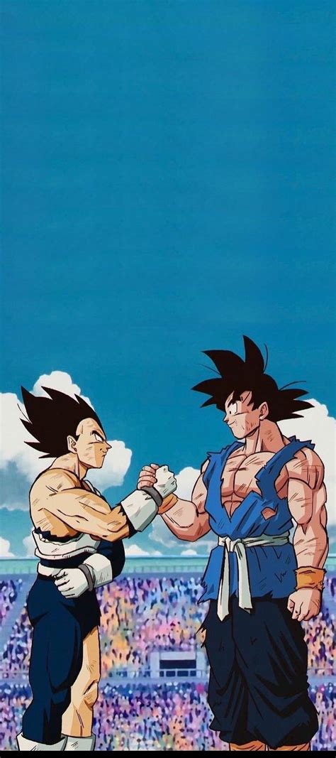 Vegeta & Goku - Wallpaper | Dragon ball wallpapers, Dragon ball super ...