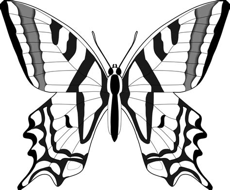 Butterfly Line Drawing - ClipArt Best