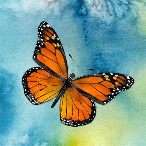 Monarch Butterfly. Watercolor depiction of a Monarch butterfly flying ...