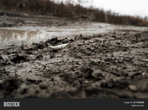 Dirt Background. Dirt Image & Photo (Free Trial) | Bigstock