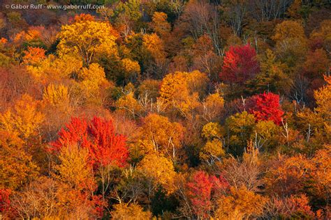 Fall Trip to the Green Mountains – Vermont | Gábor Ruff