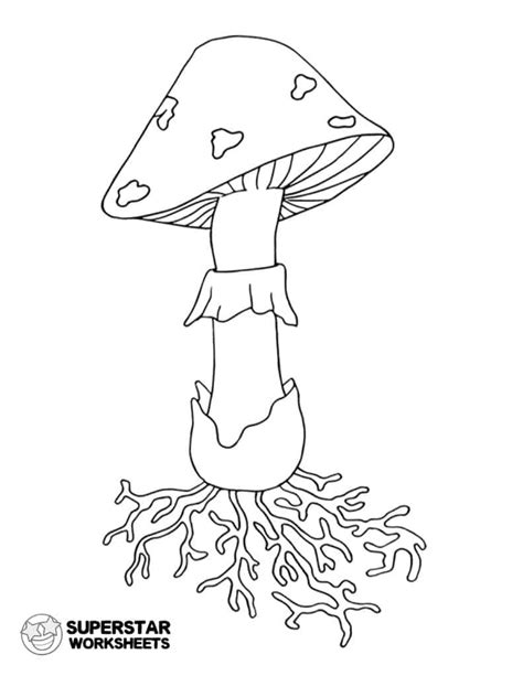 Fungi Coloring Worksheet Answers / 2 : String stringbuffer ...