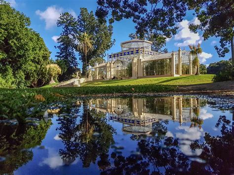 Reflections in the Adelaide botanic gardens : r/pics