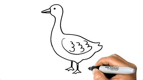 How To Draw A Goose