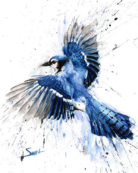 Impression d'art geai bleu en vol, peinture aquarelle par Eric Sweet ...