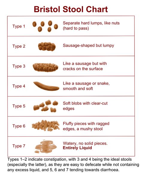 Bristol Stool Chart Uk of the decade The ultimate guide | stoolz