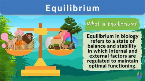 Equilibrium - Definition and Examples - Biology Online Dictionary