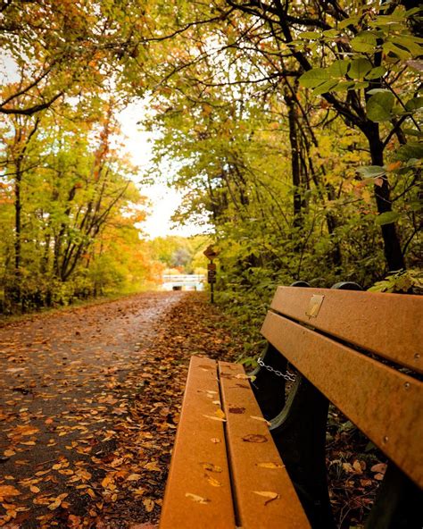 8 Places To Capture Some of The Best Fall Colors in Kalamazoo