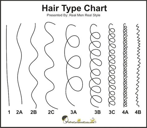 Black Male Hair Types: Tell Hair Type by Shape Texture & Curl Pattern