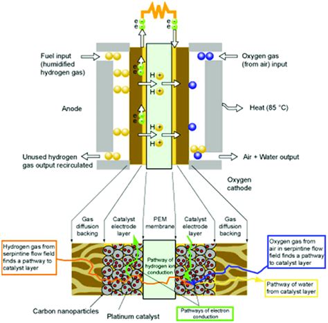 Working principle diagram of proton exchange membrane fuel cell (PEMFC ...