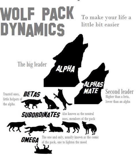 Wolf pack dynamics | Wolf pack, Wolf, Wolf stuff