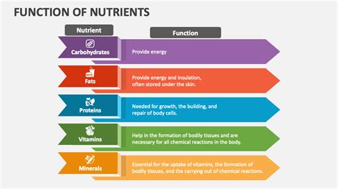 Function of Nutrients PowerPoint Presentation Slides - PPT Template