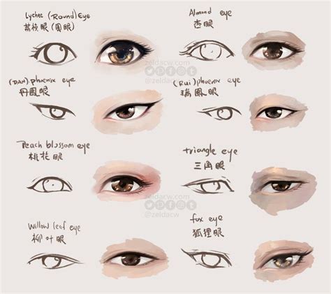 How To Draw Chinese Eyes | Images and Photos finder