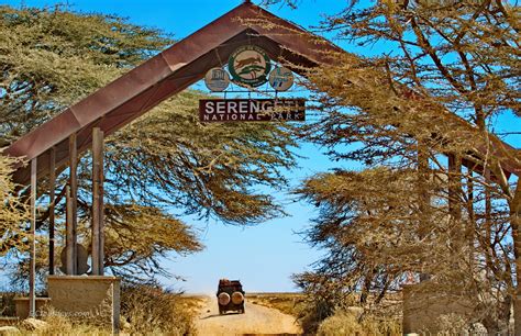 Tanzania Serengeti Safari Overview - GC Journeys