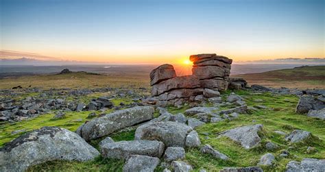 Dartmoor - Bird's Wildlife & Nature