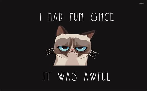 Grumpy Cat Meme Wallpaper - WallpaperSafari