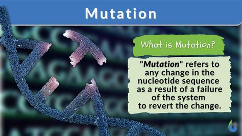 Genetic Makeup Meaning In Hindi - Mugeek Vidalondon