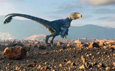 How Do We Know That Dinosaurs May Have Had Feathers? | Britannica