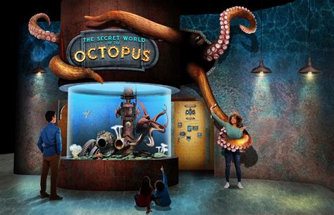 Pin by Justin Kelly on Zoo | Concept art, Oklahoma aquarium, Exhibition