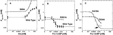 Whole-protein alanine-scanning mutagenesis of allostery: A large ...