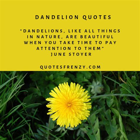 Dandelion Quotes And Sayings – Quotes Sayings | Thousands Of Quotes Sayings