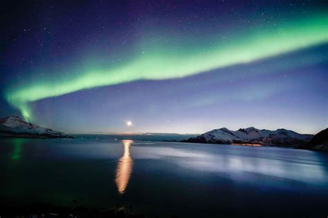 From Tromsø: Aurora Borealis Tour | GetYourGuide