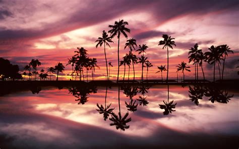 🔥 [40+] Sunset Hawaii Beach Wallpapers | WallpaperSafari