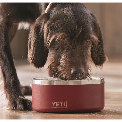 YETI Boomer™ 8 Dog Bowl - 710618, Training Equipment at Sportsman's Guide