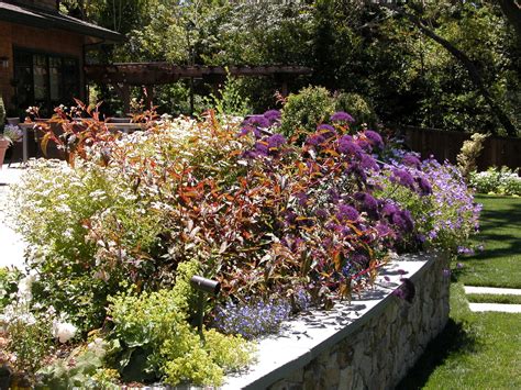 Landscape Designer in the Bay Area | Avant Garden