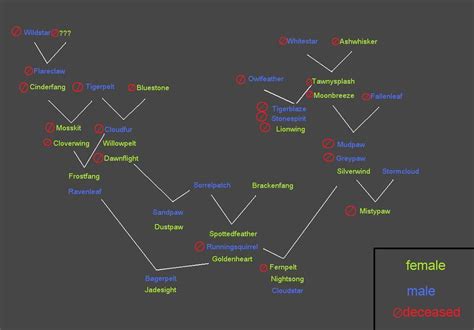 Warrior Cat family tree by ParalelleKitKat on DeviantArt