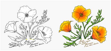 How To Draw A Golden Poppy - Internaljapan9