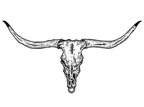 Longhorn clip art bing – Artofit