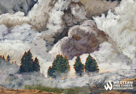 Effects of Wildfire Smoke on the Environment | WFCA