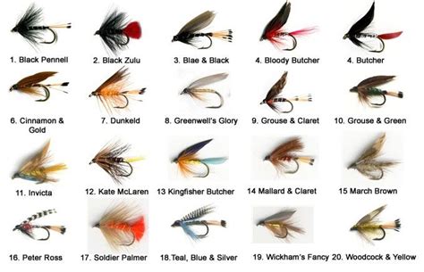 Trout Flies | Fly fishing, Fly fishing for beginners, Fly fishing knots