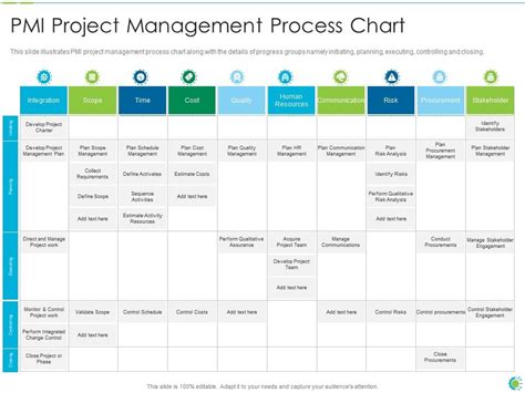 PMP process chart IT PMI project management process chart ...