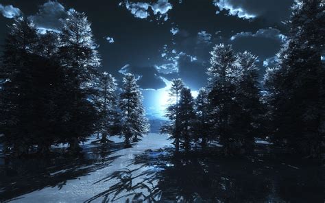 Moonlight Forest Wallpapers - Top Free Moonlight Forest Backgrounds ...