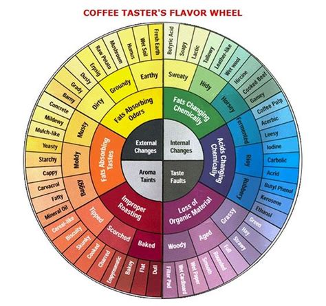 MENGENAL THE COFFEE TASTER FLAVOUR WHEEL DAN CARA PENGGUNAANNYA ...