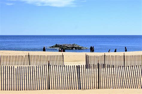 Bird Island Photograph by Robert McCulloch - Fine Art America