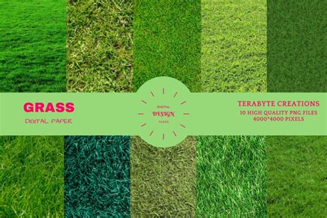 Grass texture digital paper|grass texture png