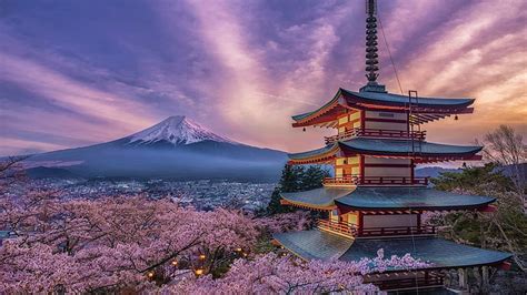 2736x1824px | free download | HD wallpaper: Religious, Pagoda, Cherry ...